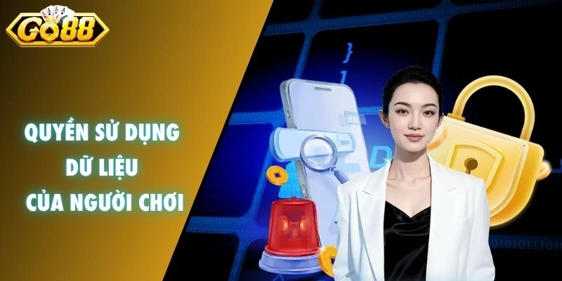Quyền sử dụng dữ liệu người chơi