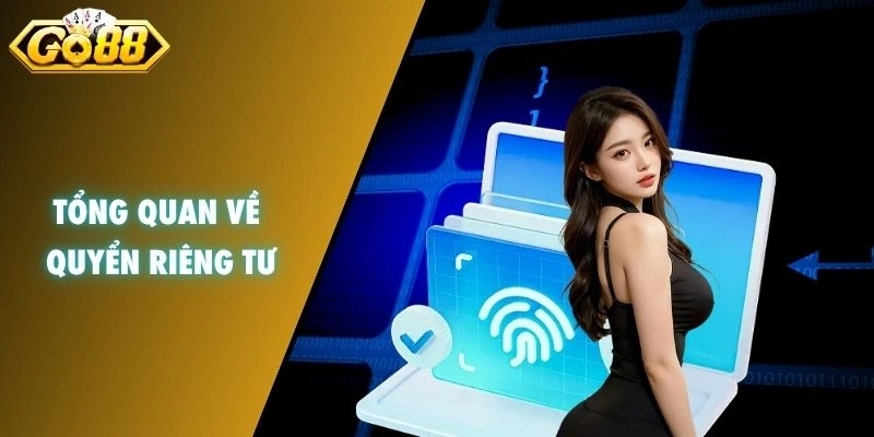 Tổng quan về quyền riêng tư